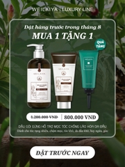 Bộ Dầu Gội Xả Gừng Hỗ Trợ Mọc Tóc Chống Lão Hóa Da Đầu 420ml + 200ml - Tặng Kem Massage Da Đầu