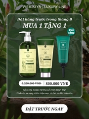 Bộ Dầu Gội Xả Gừng Hỗ Trợ Mọc Tóc Detox Da Đầu 420ml + 200ml - Tặng Kem Massage Da Đầu