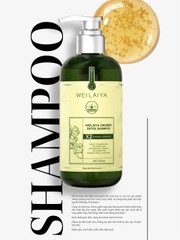 Weilaiya | Luxury Line - Dầu Gội Gừng Hỗ Trợ Mọc Tóc Detox Da Đầu 420ml