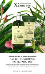 Bộ Dầu Gội Xả Gừng Hỗ Trợ Mọc Tóc Detox Da Đầu 420ml + 200ml