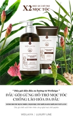 Bộ Dầu Gội Xả Gừng Hỗ Trợ Mọc Tóc Chống Lão Hóa Da Đầu 420ml + 200ml