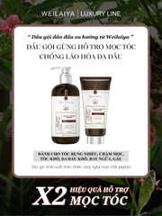 Bộ Dầu Gội Xả Gừng Hỗ Trợ Mọc Tóc Chống Lão Hóa Da Đầu 420ml + 200ml