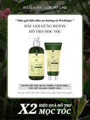 Bộ Dầu Gội Xả Gừng Hỗ Trợ Mọc Tóc Detox Da Đầu 420ml + 200ml