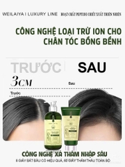 [Hộp Trắng] Sét Quà Gội Xả Gừng Luxury Xanh Detox Da Đầu X2 Mọc Tóc