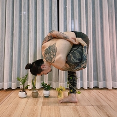 Kiku Yoga