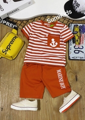 006 BT Bộ vai sọc mỏ neo nhí