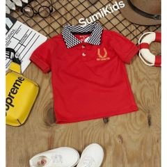 030 Áo thun phối cổ SMK nhí
