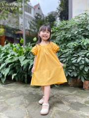 Đầm baby doll vàng 10kg -40kg