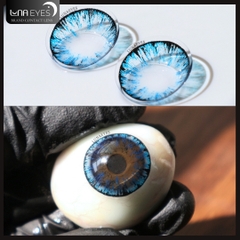 (quà tặng) 062 BLUE - size to