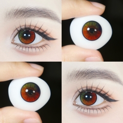 E42 BLUE - size vừa