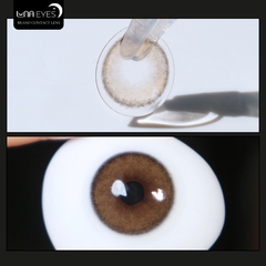 (quà tặng) 434 BROWN - size nhỏ