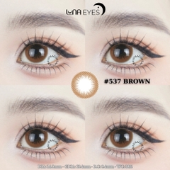 (quà tặng) 537 BROWN - size nhỏ
