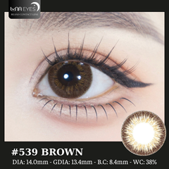 (quà tặng) 539 BROWN - size nhỏ