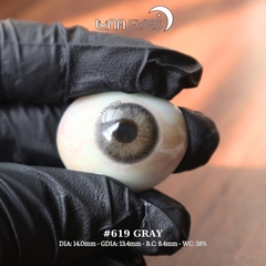 (Luna Eyes) 619 GRAY - size nhỏ