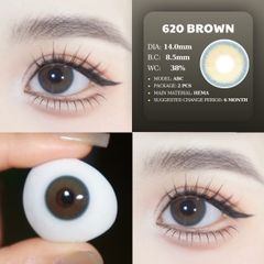 PP FC-304 GRAY - size vừa