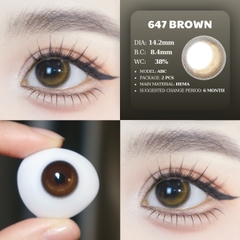 PP 647 BROWN - size vừa