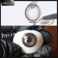 (Luna Eyes) 829 GRAY - size vừa
