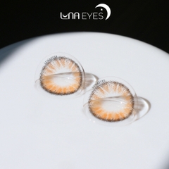 (quà tặng) B215 BROWN - size nhỏ