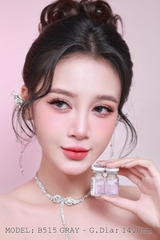 B515 GRAY - size nhỏ