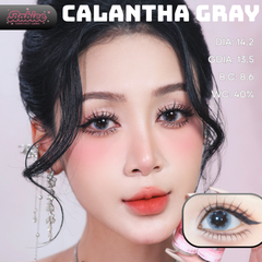(Babiee) CALANTHA GRAY - size vừa