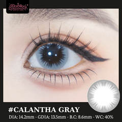 (Babiee) CALANTHA GRAY - size vừa