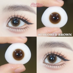 (Babiee) COLORED BROWN - size nhỏ