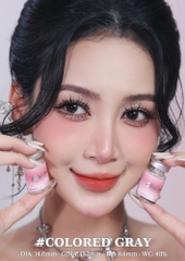 (Babiee) COLORED GRAY - size nhỏ