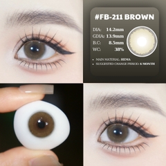 (quà tặng) FB-211 BROWN - size vừa