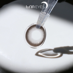 FB-234 GRAY - size to