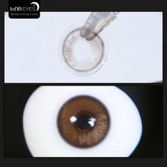 (quà tặng) FC-314 BROWN - size vừa