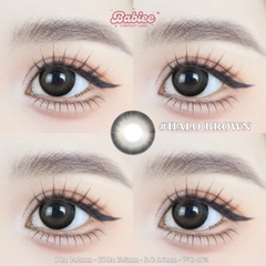 (Babiee) HALO BROWN - size vừa
