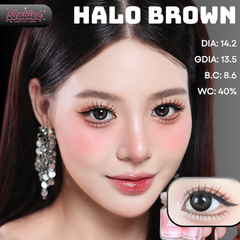 (Babiee) HALO BROWN - size vừa
