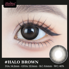 (Babiee) HALO BROWN - size vừa