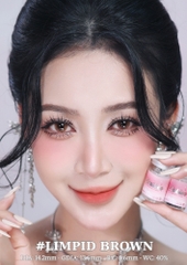 (Babiee) LIMPID BROWN - size vừa