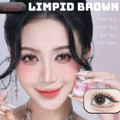 (Babiee) LIMPID BROWN - size vừa