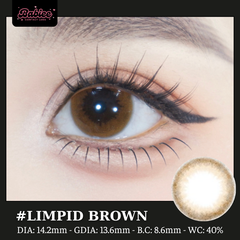 (Babiee) LIMPID BROWN - size vừa