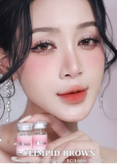 (Babiee) LIMPID BROWN - size vừa