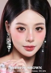 (Babiee) LIMPID BROWN - size vừa