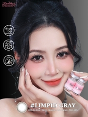 (Babiee) LIMPID GRAY - size vừa