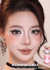 (Babiee) LIMPID GRAY - size vừa