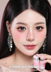 (Babiee) MRIGHT BROWN - size vừa