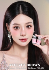 (Babiee) VELVET BROWN - size vừa