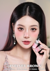 (Babiee) VELVET BROWN - size vừa