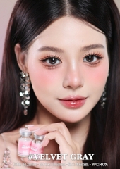(Babiee) VELVET GRAY - size vừa