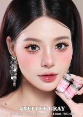(Babiee) VELVET GRAY - size vừa