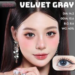 (Babiee) VELVET GRAY - size vừa