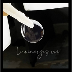 [1-DAY] Trong suốt - clear lens