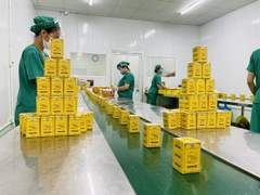Cao Nghệ Ủ Đêm Phục Hồi Da