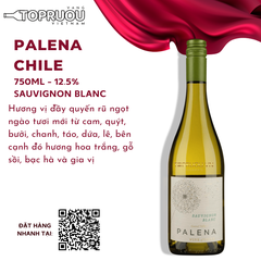 Vang Trắng Palena Sauvignon Blanc 750ml - Chile - 12.5%
