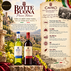 Vang Trắng Botte Buona, Vino Bianco  - Ý - Trebbiano - 10.5% - 750ml